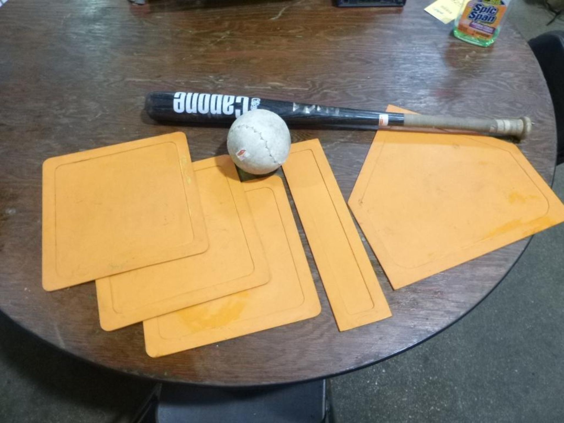 Softball Game, 16 in. Softball, Softball Bat, Softball Bases