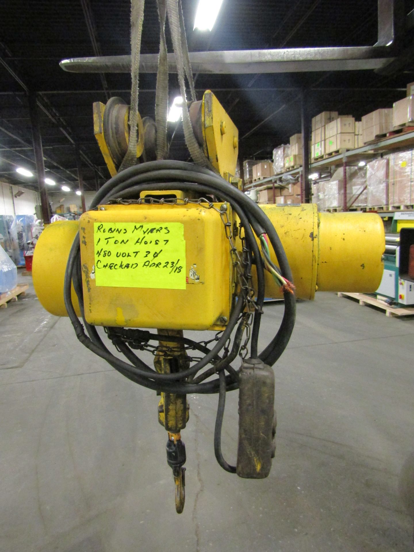 Robin Myers 1 Ton Electric Hoist with pendant