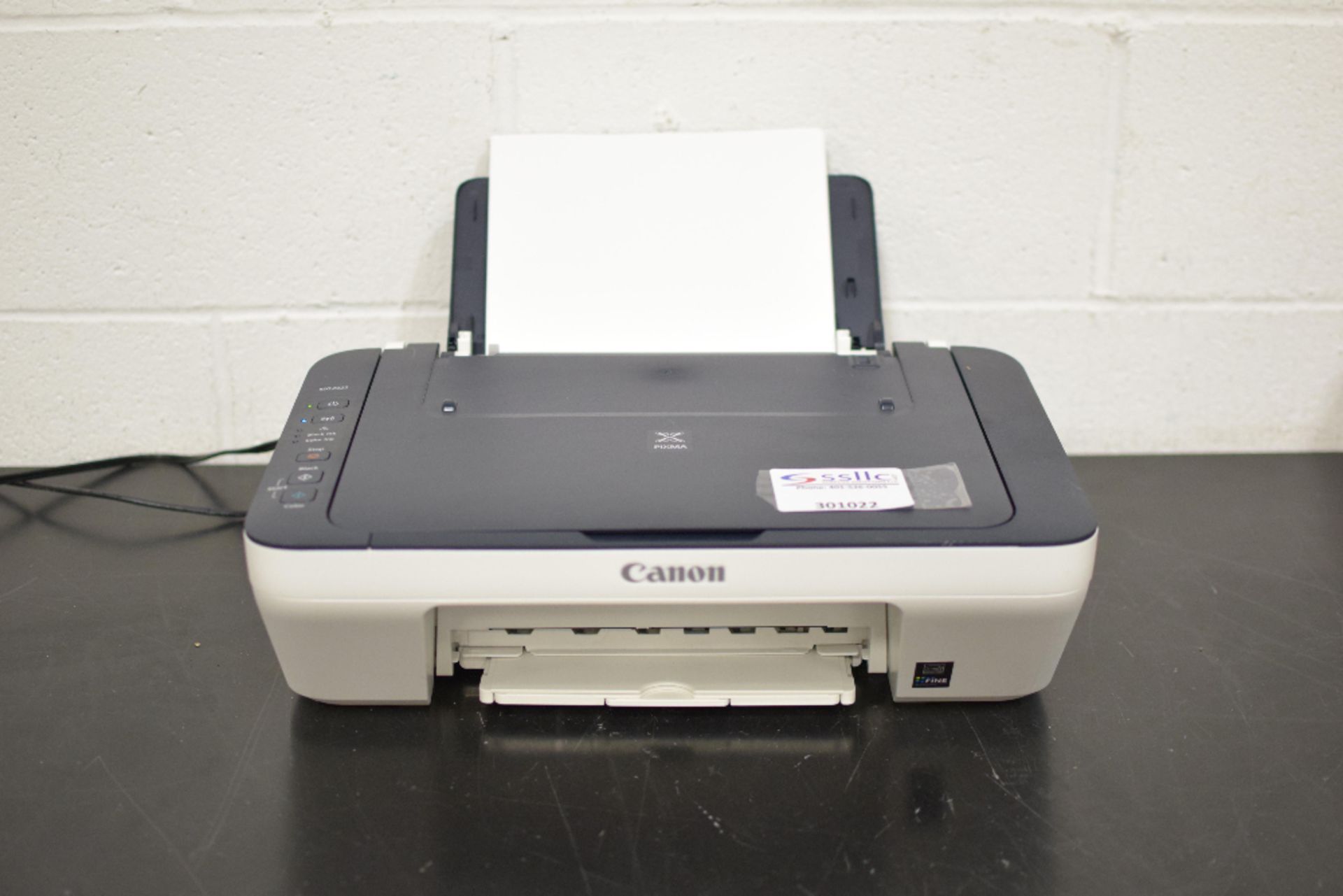 Canon PIXMA MG2922 Multifunction Printer