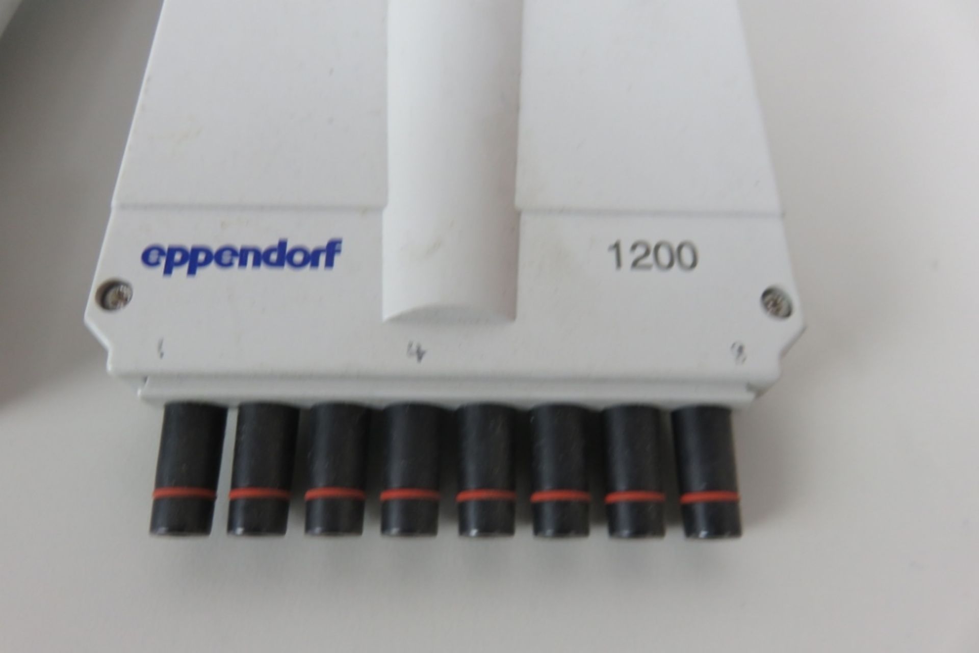 Lot of Eppendorf Pipette - Image 3 of 6