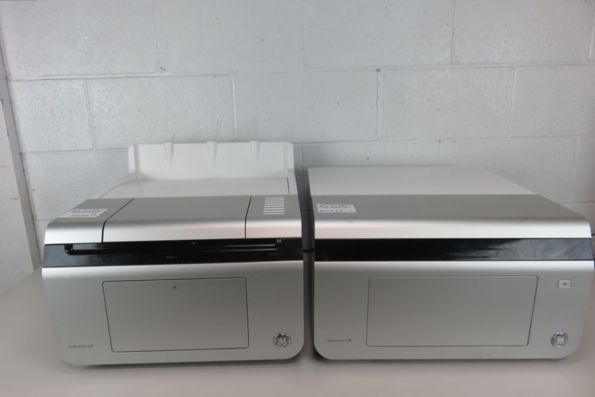 GE WB Western Blot System