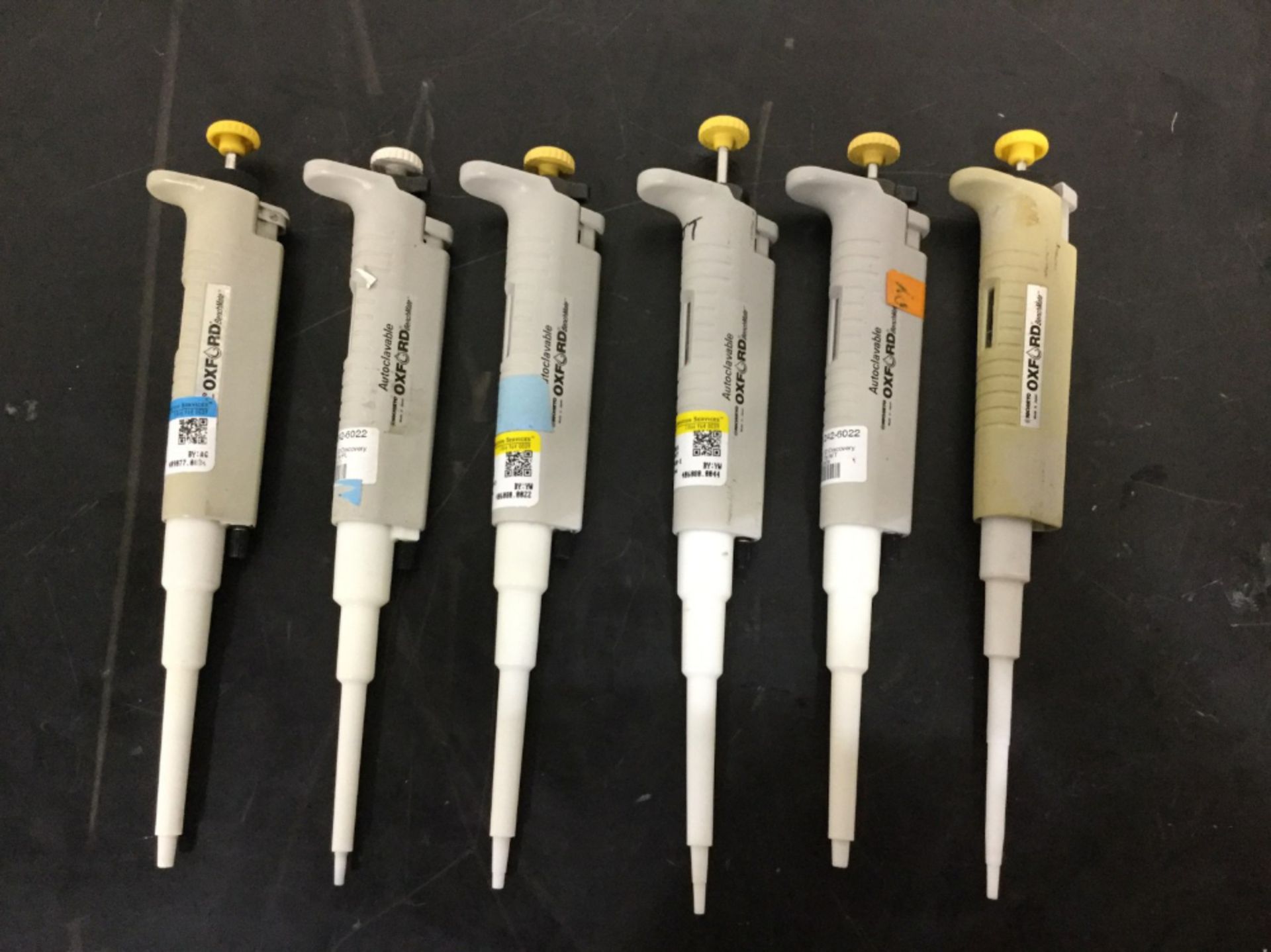 Lot of (6) Oxford Benchmate Single Channel Pipet