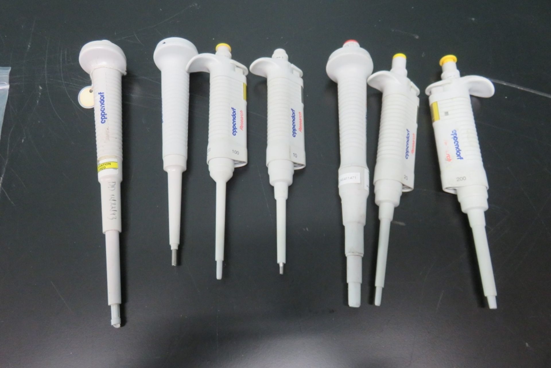 Lot of Eppendorf Pipettes