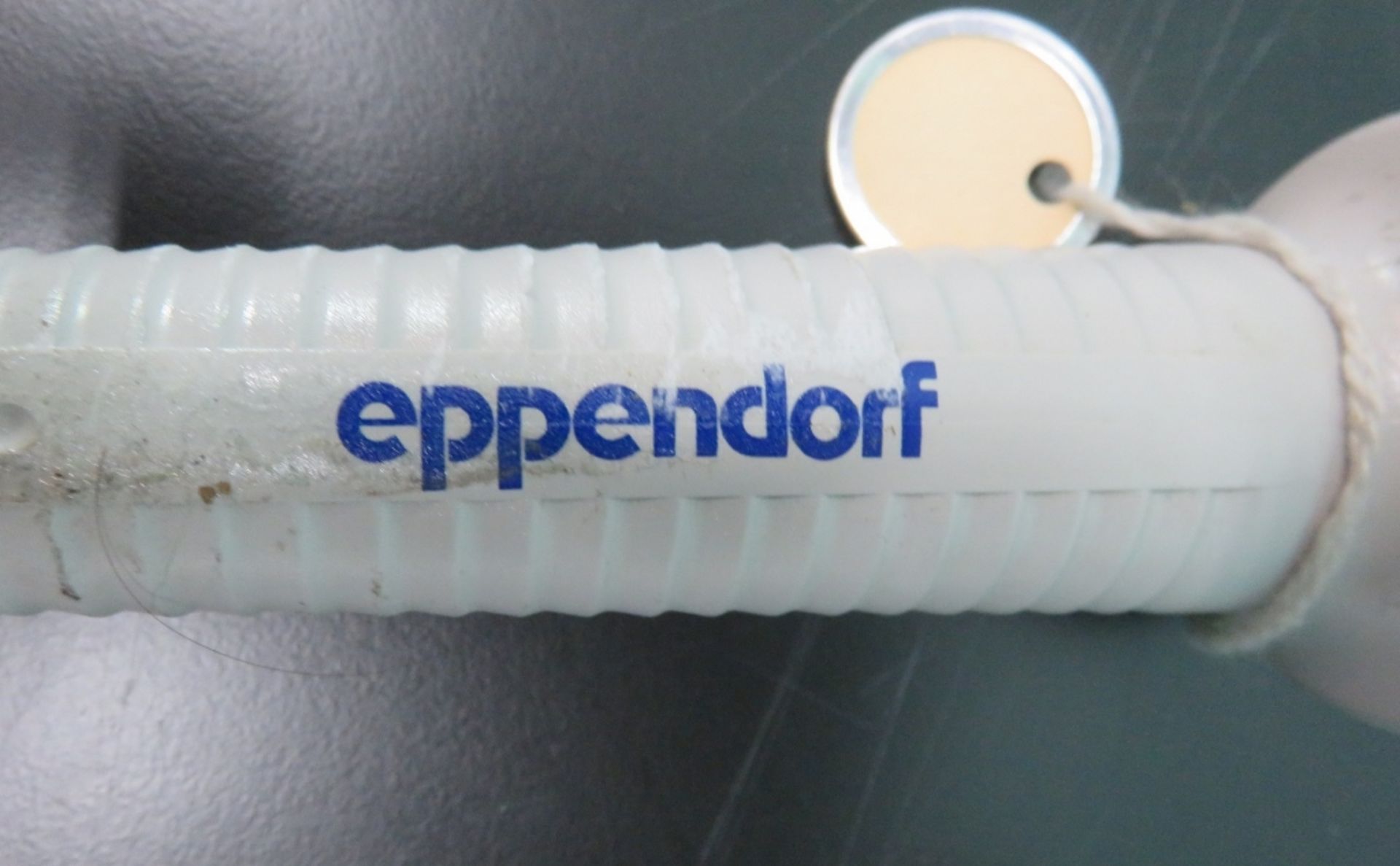 Lot of Eppendorf Pipettes - Image 2 of 2