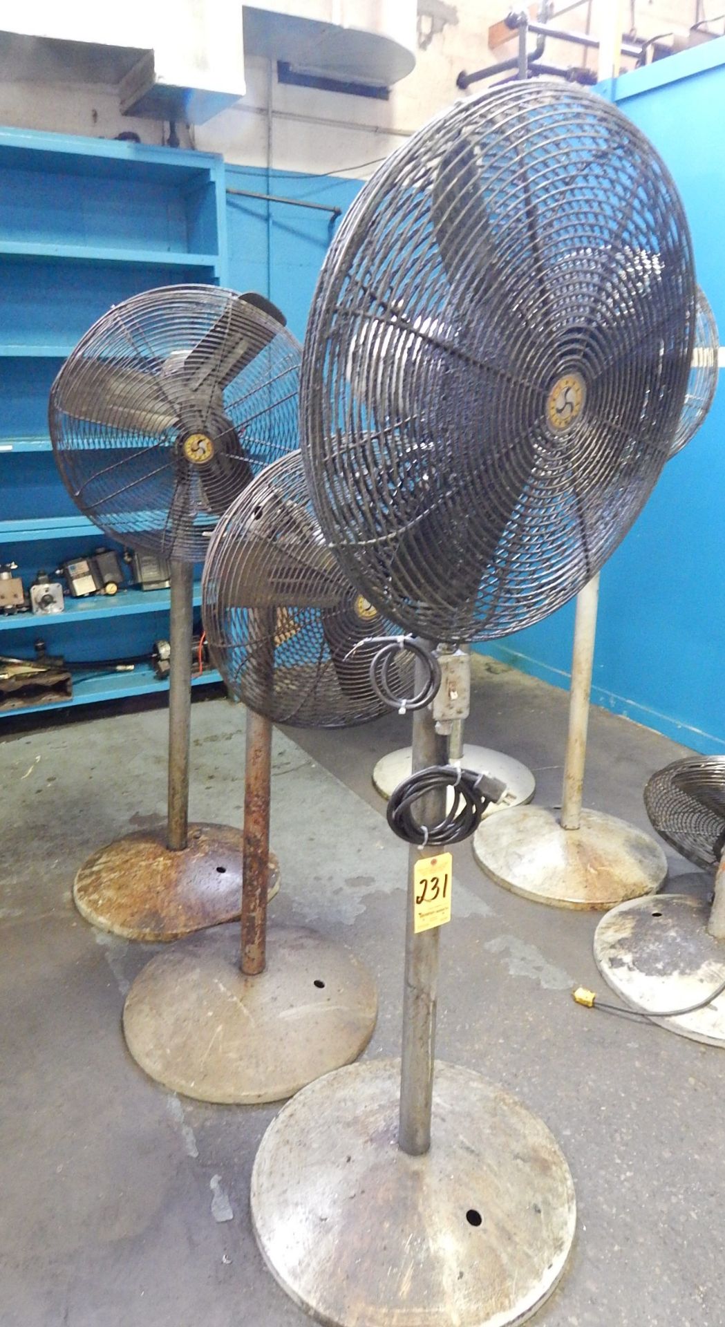 (3) Pedestal Fans