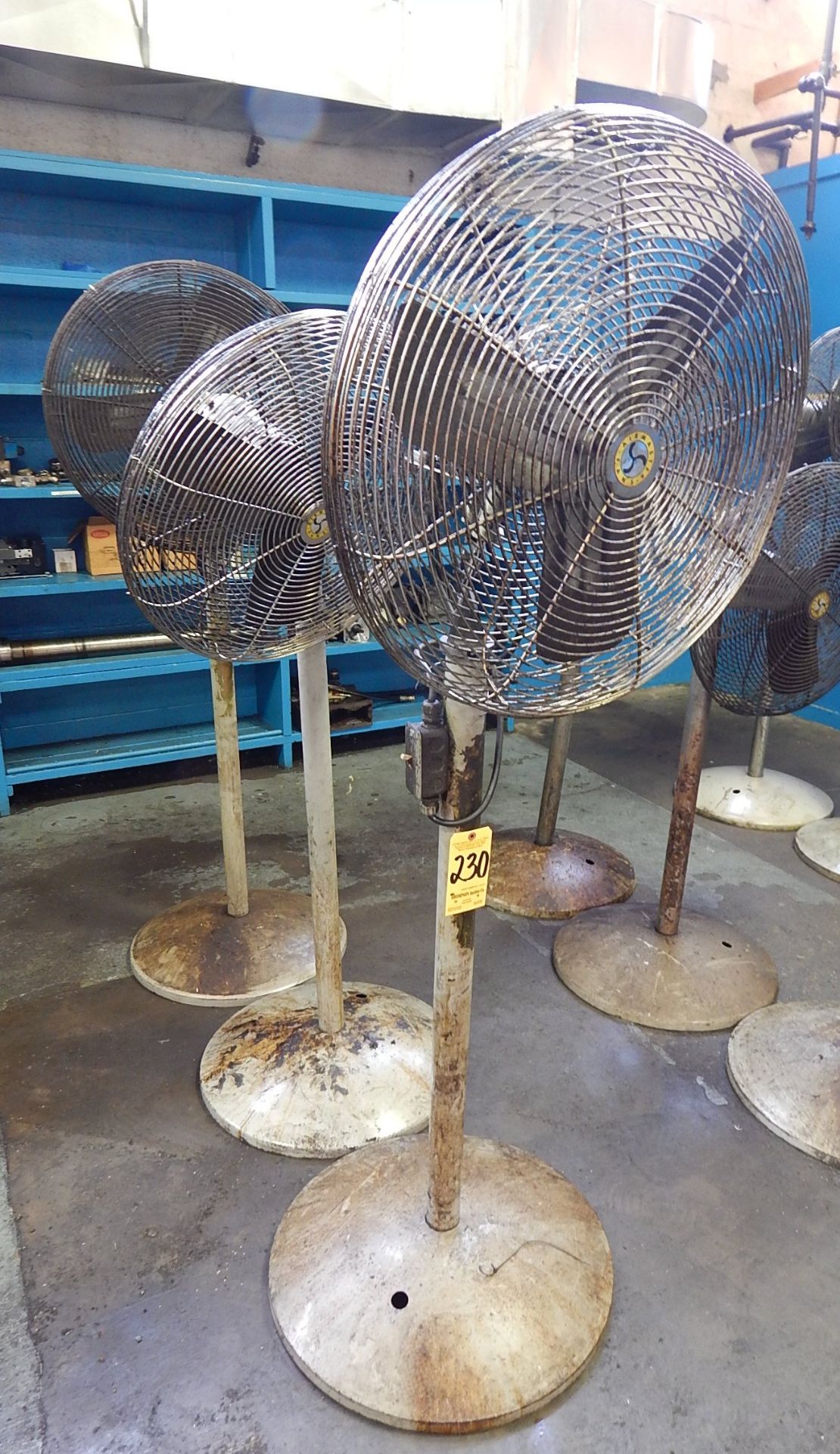 (3) Pedestal Fans