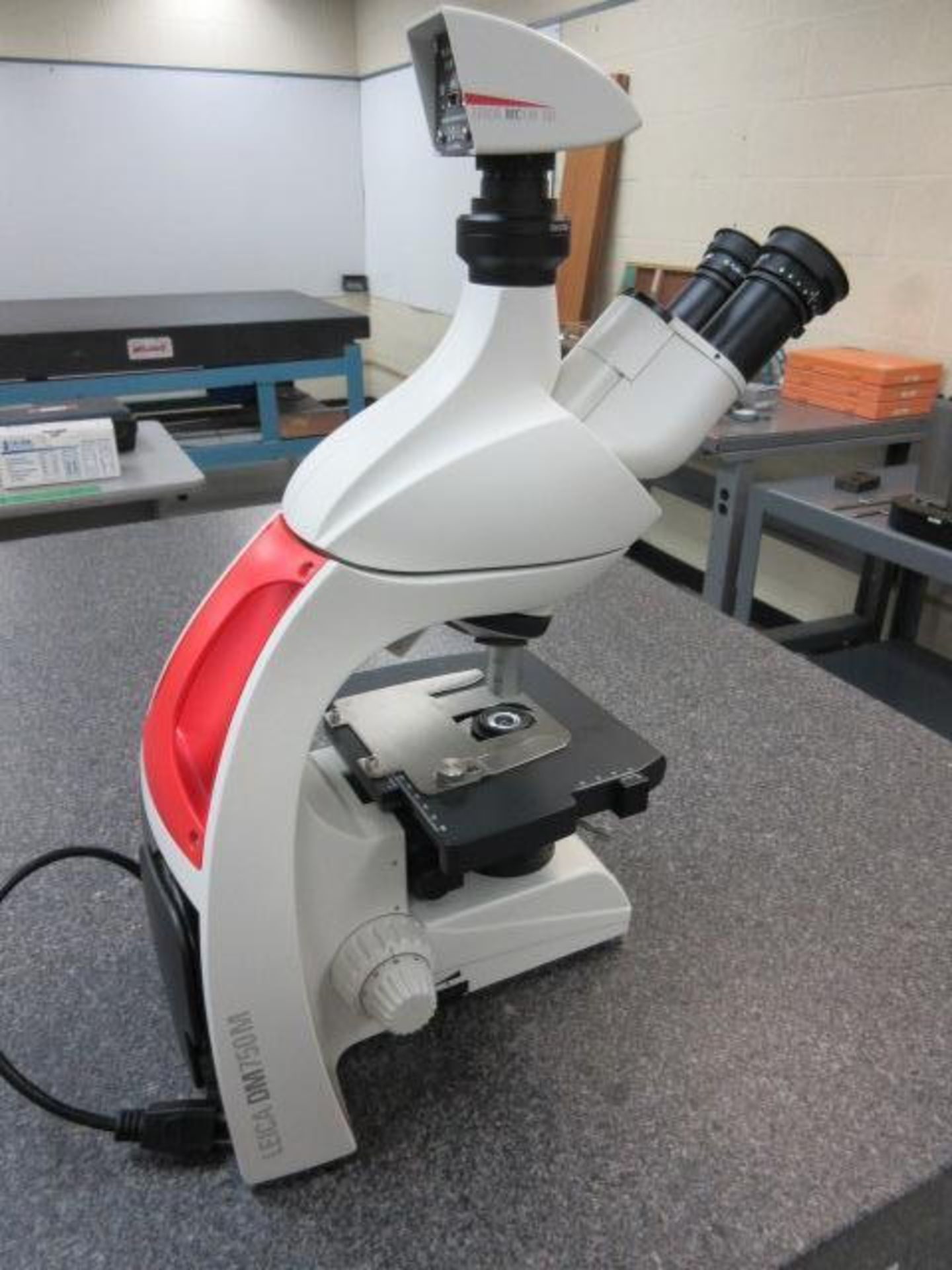 Stereo Microscope