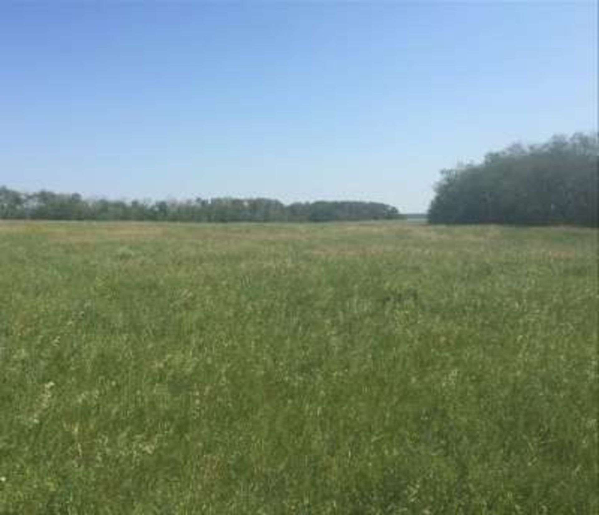 11.63 acre parcel of land located 9 miles north of Yorkton, SK. This parcel is along the Mehan grid, - Image 3 of 8