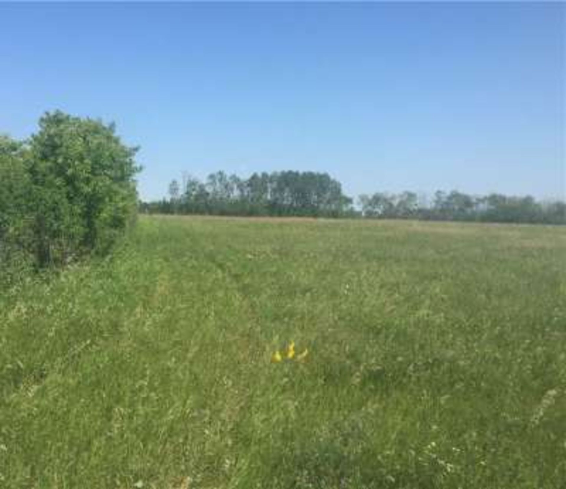 11.63 acre parcel of land located 9 miles north of Yorkton, SK. This parcel is along the Mehan grid, - Image 4 of 8