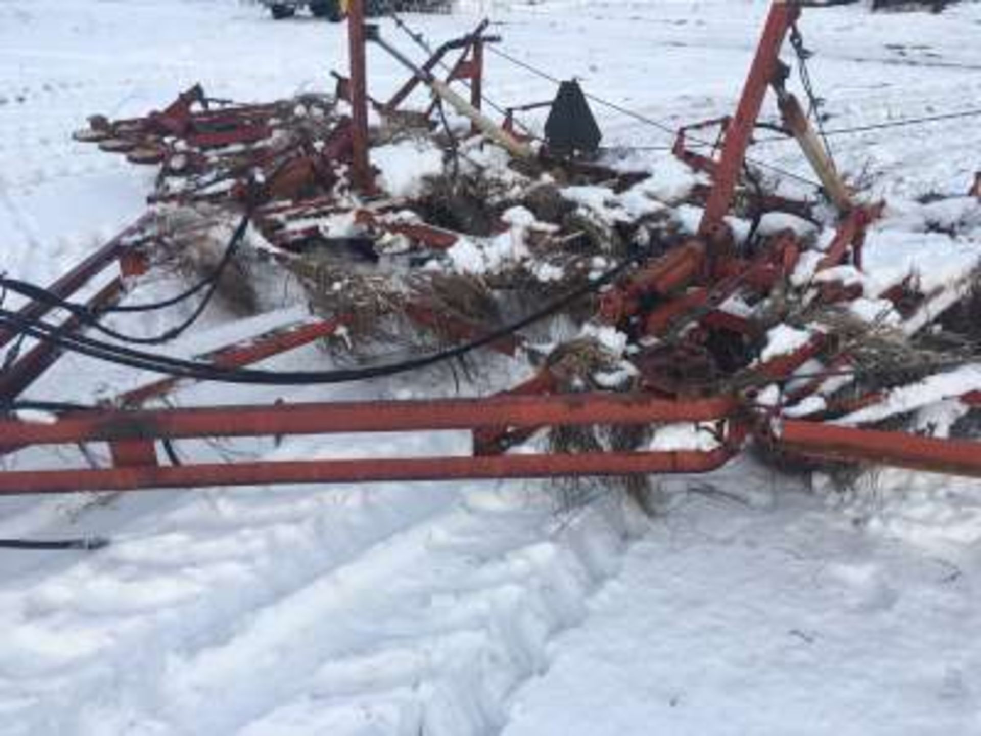 International 28.5ft Vibrashank w/harrows