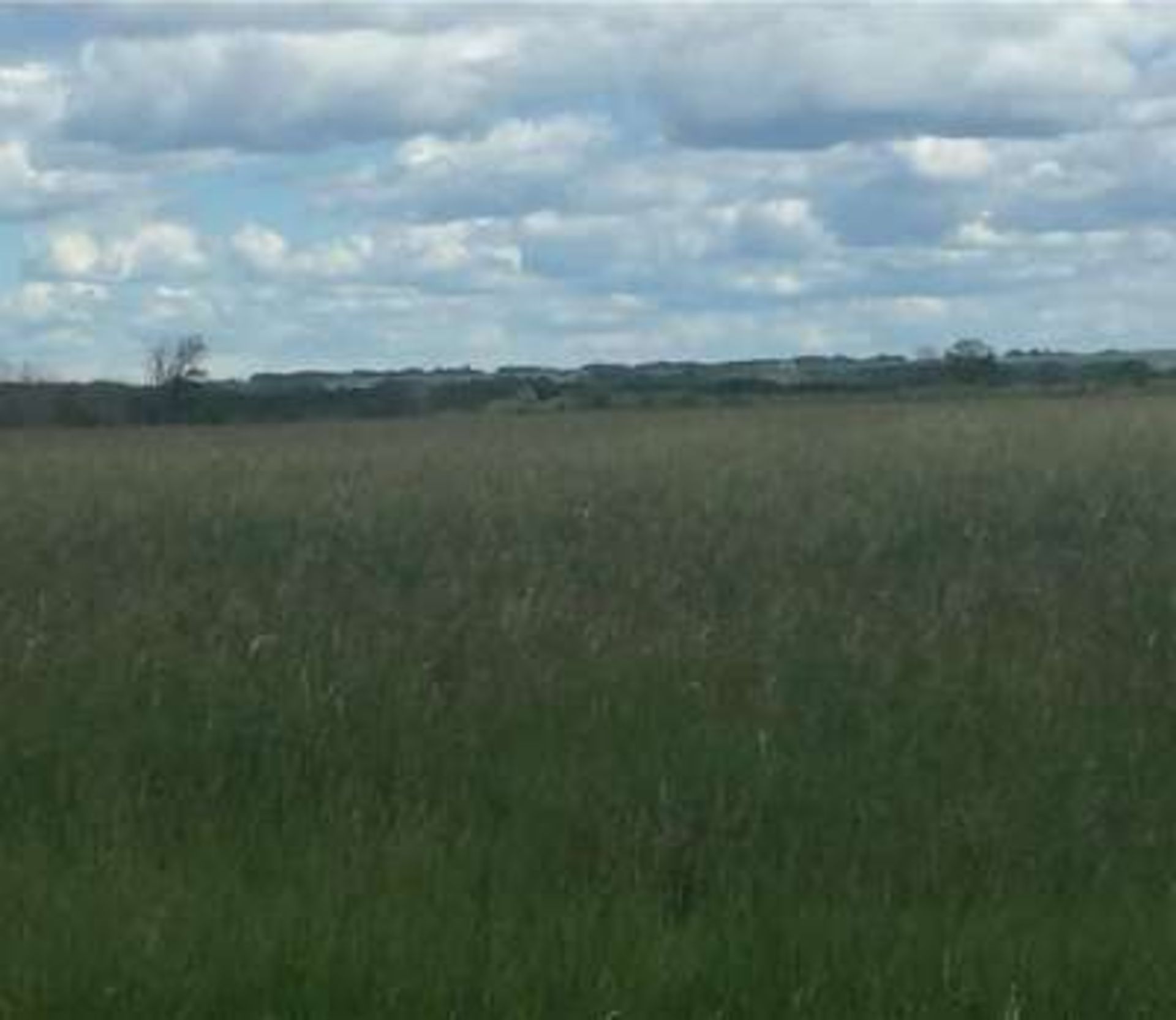 11.63 acre parcel of land located 9 miles north of Yorkton, SK. This parcel is along the Mehan grid, - Image 7 of 8