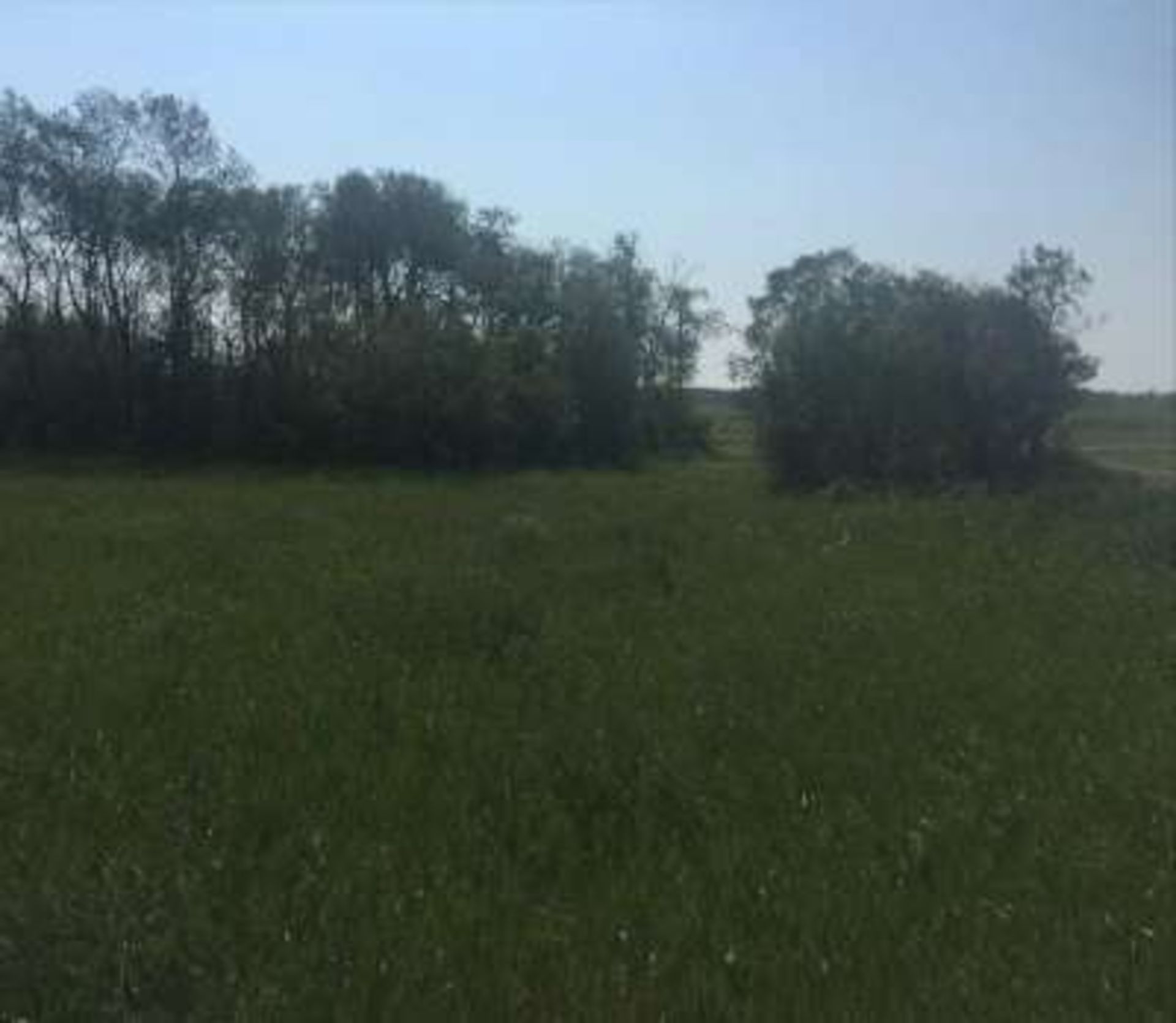 11.63 acre parcel of land located 9 miles north of Yorkton, SK. This parcel is along the Mehan grid, - Image 6 of 8