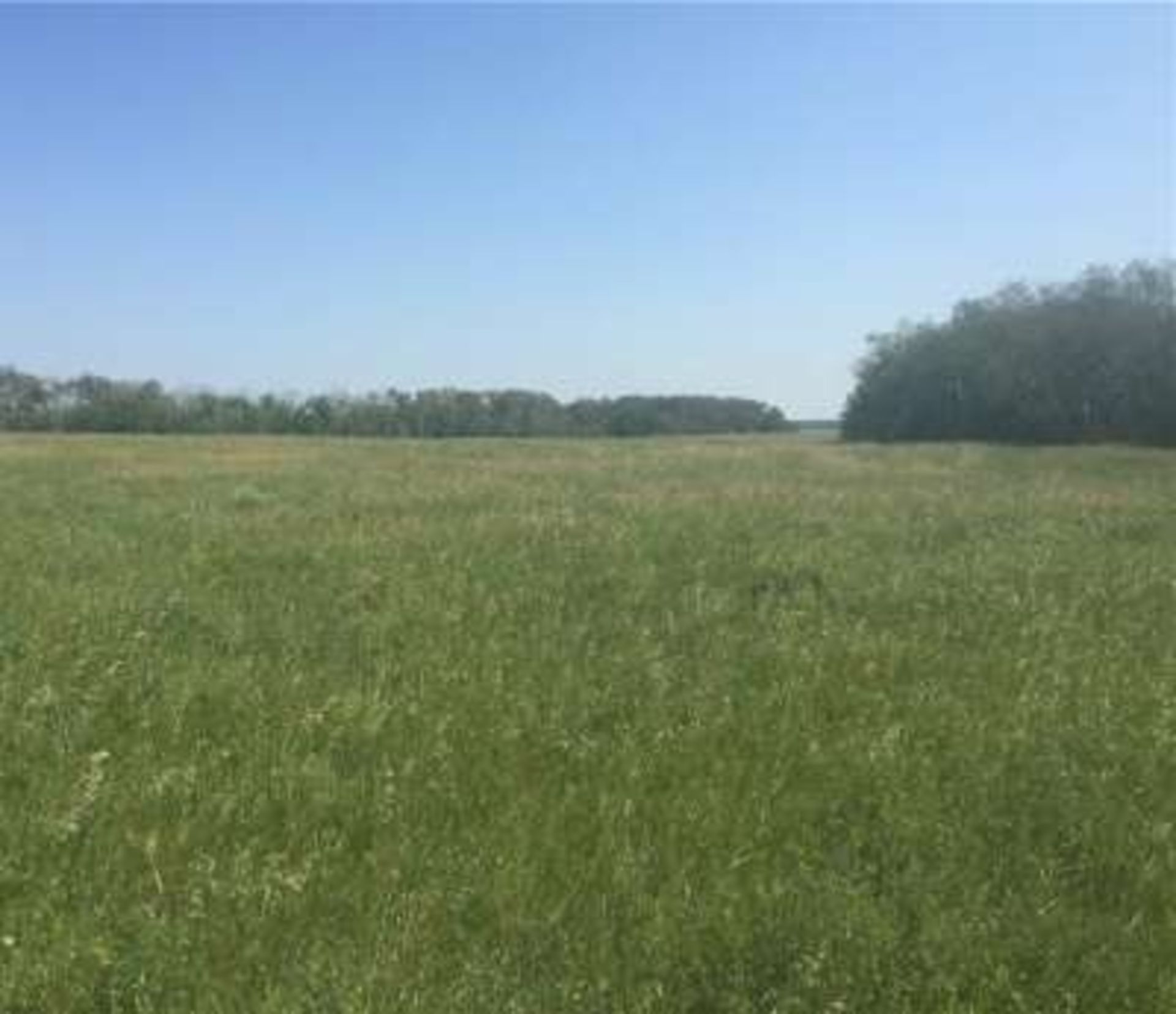 11.63 acre parcel of land located 9 miles north of Yorkton, SK. This parcel is along the Mehan grid, - Image 5 of 8