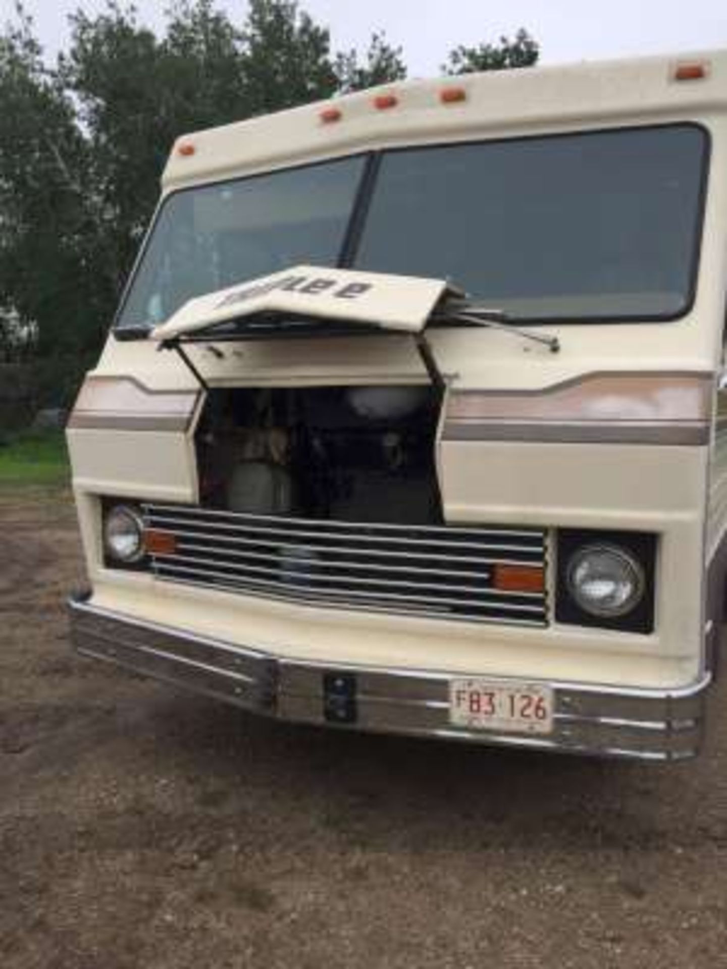 1981 Triple E Motorhome on a Chev chassis - Image 4 of 10