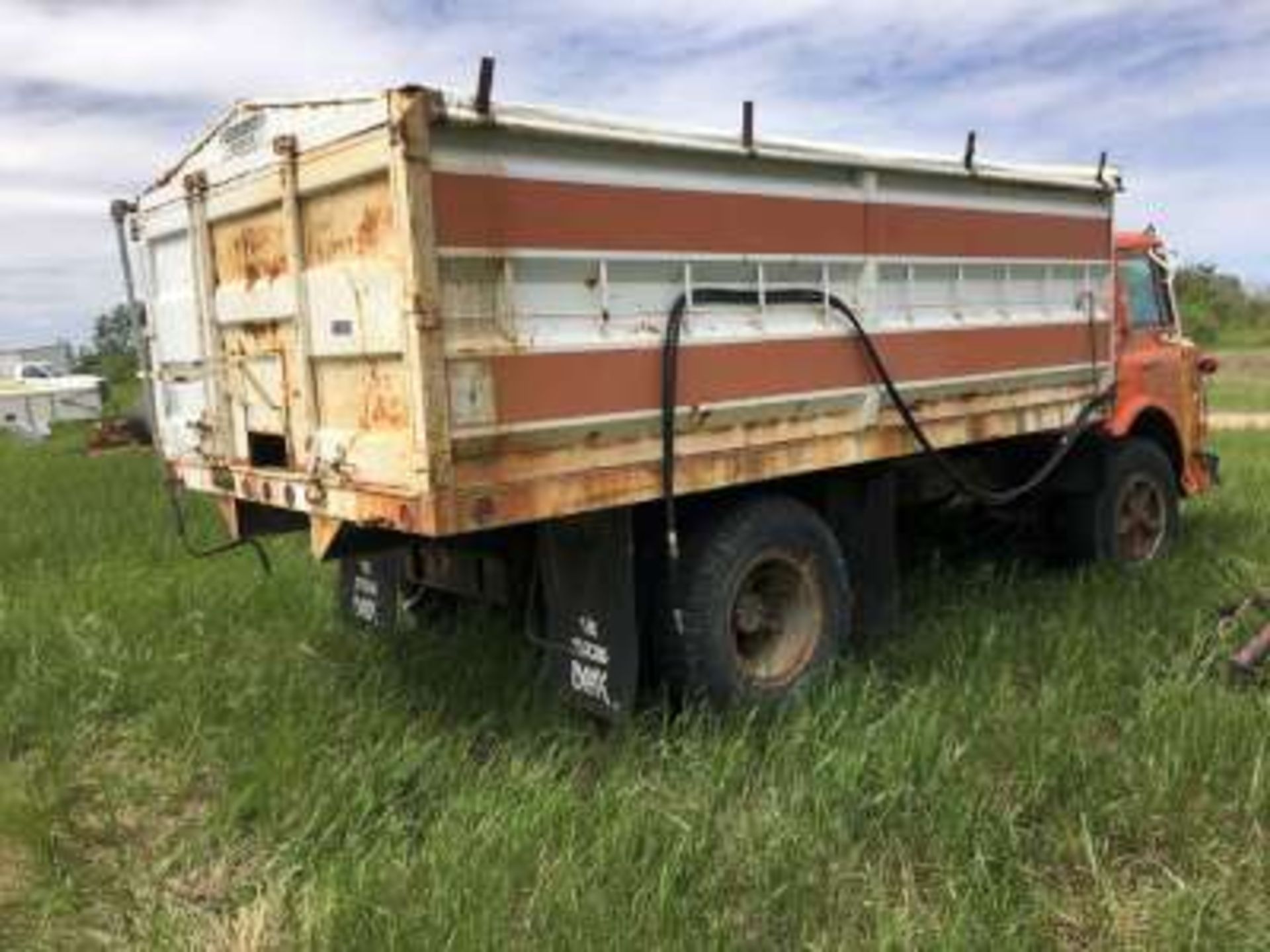 International CabOver grain truck w/15ft Box, Hoist and tarp (Not running) - Image 3 of 5