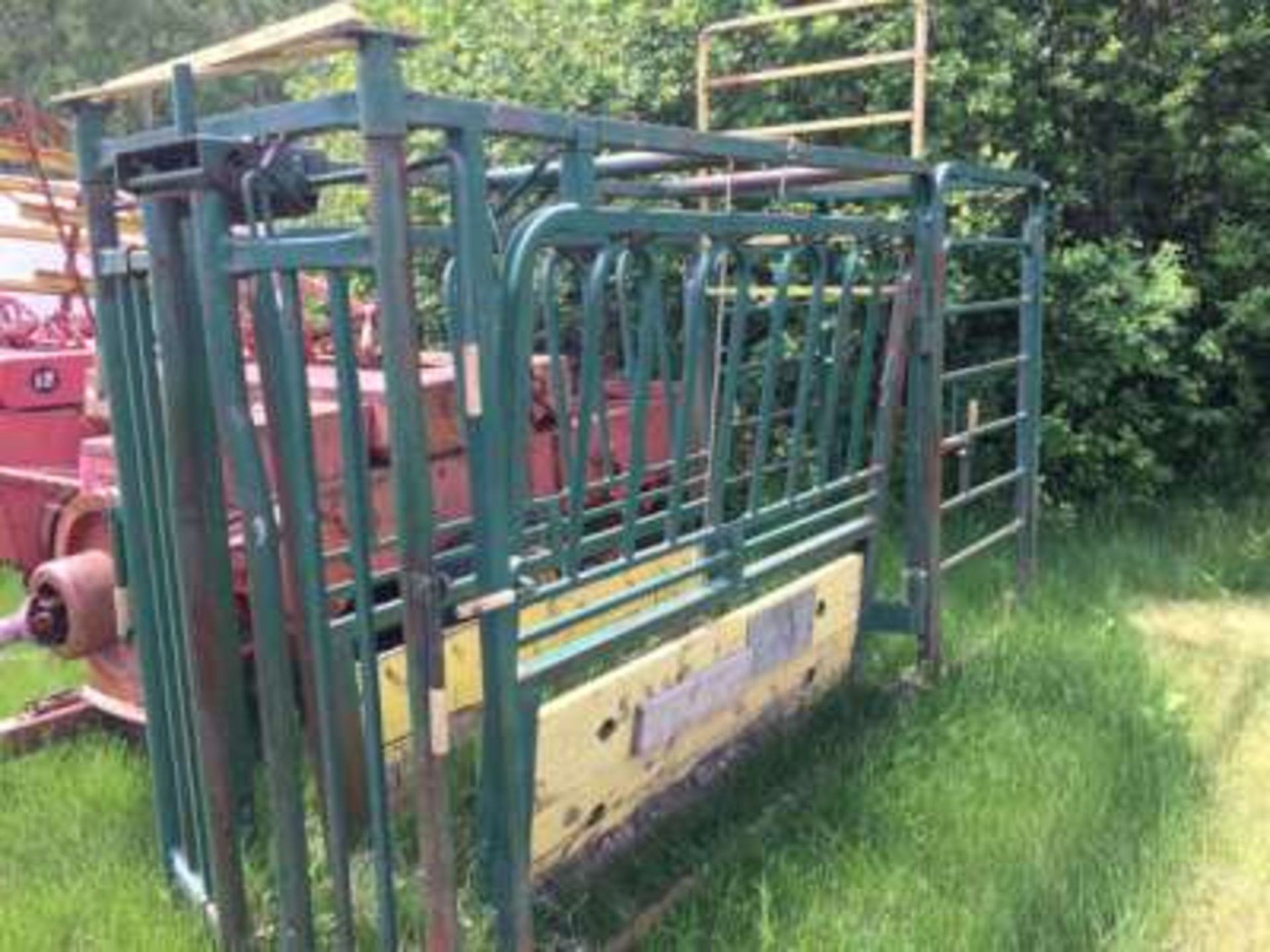 Cattle chute w/automatic head gate