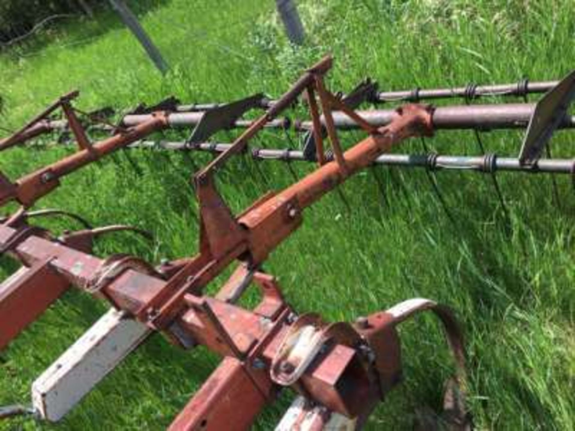 17ft IHC chisel plow w/mtd harrows - Image 2 of 2