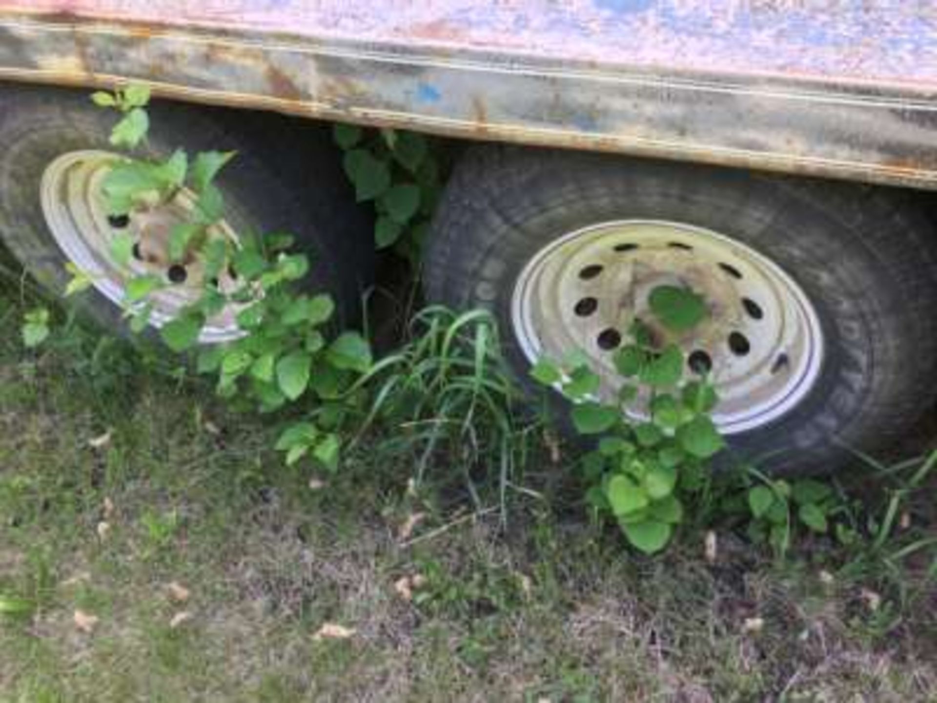 Cattle trailer, approx 18ft, bumper hitch, tandem axle - Image 5 of 5