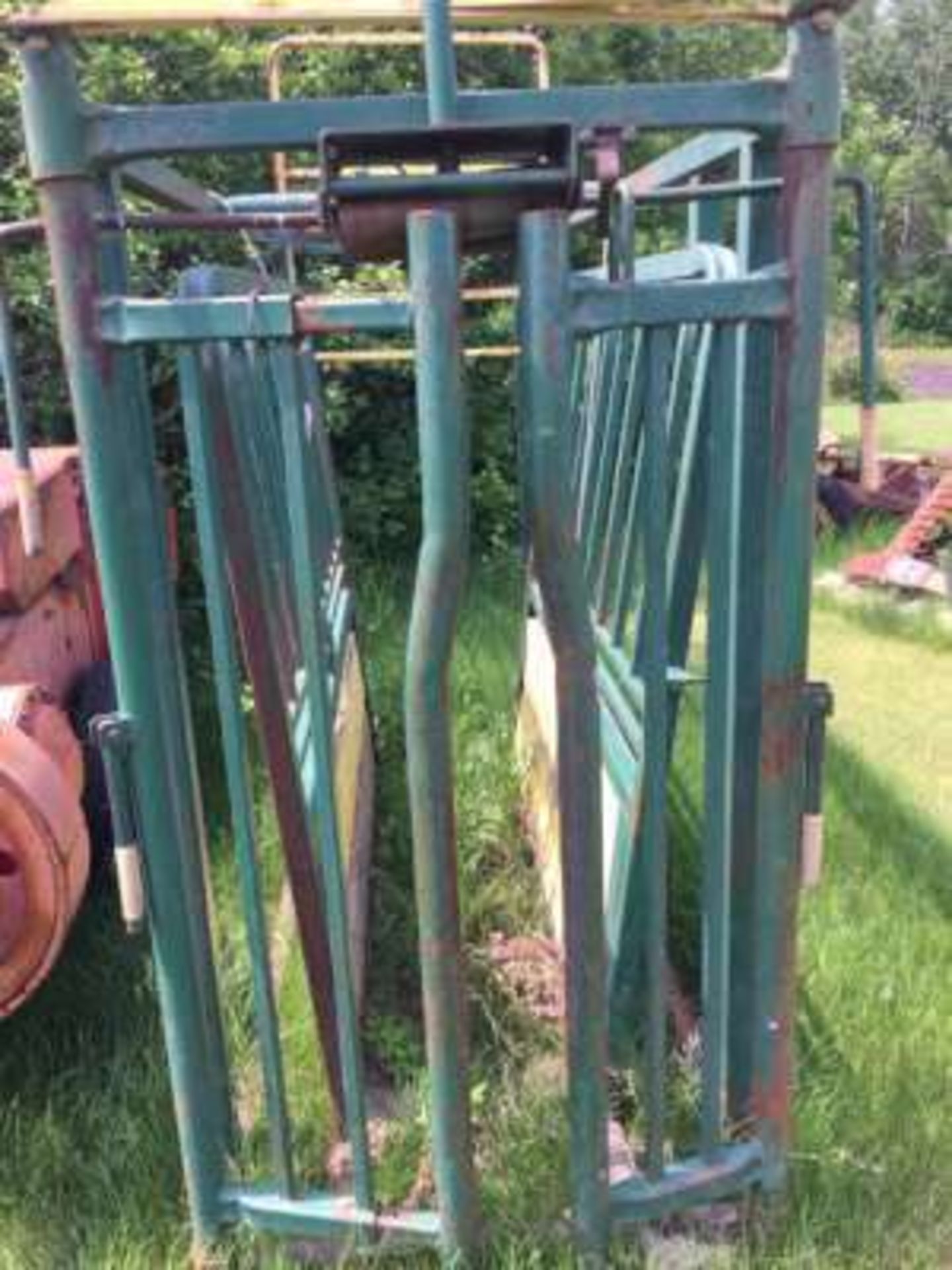 Cattle chute w/automatic head gate - Image 3 of 3