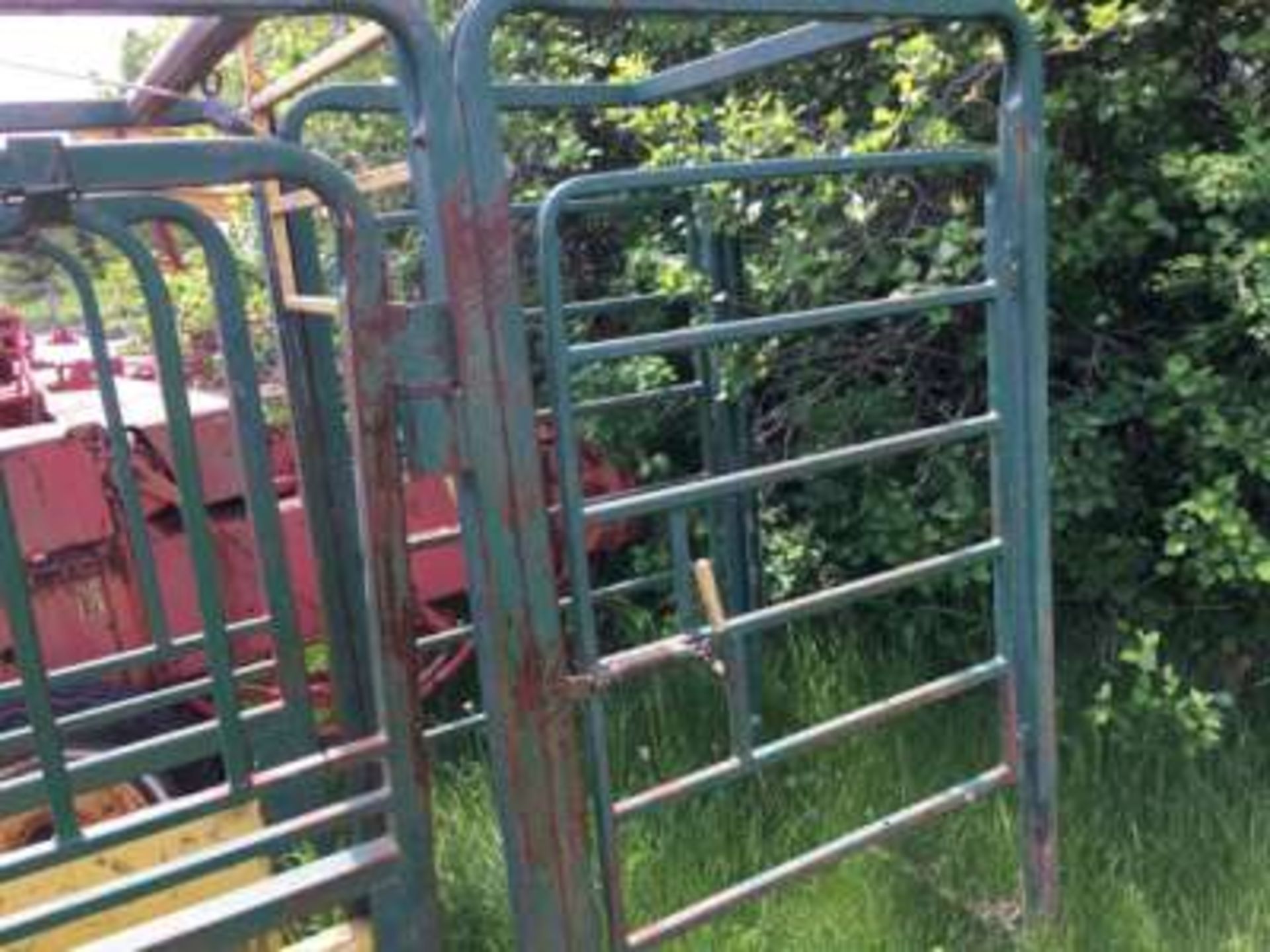 Cattle chute w/automatic head gate - Image 2 of 3