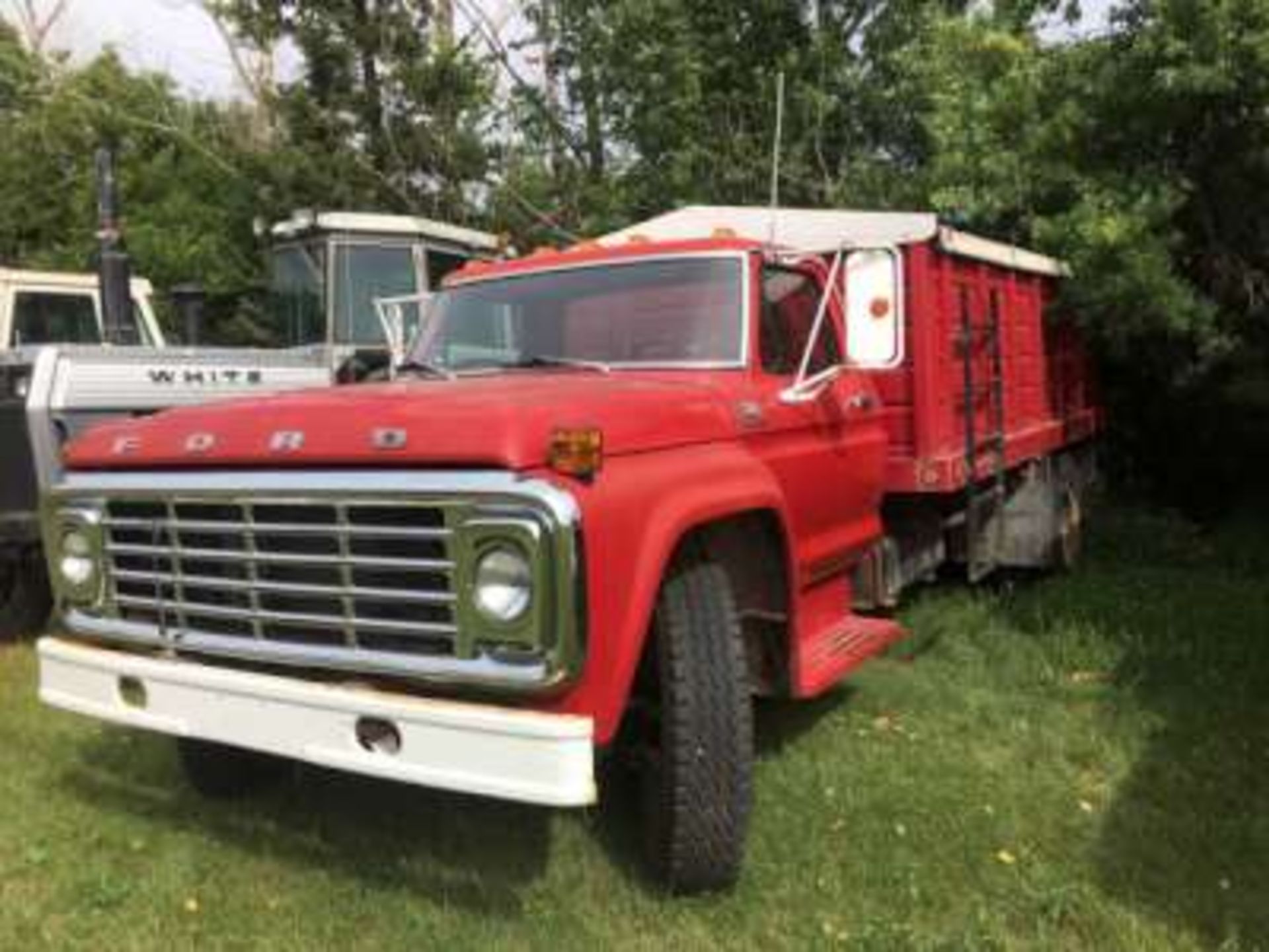 1976 Ford F600 3 Ton grain truck, 330 V8, 8x16ft steel box w/roll tarp, 5x2 trans, pto, 49270