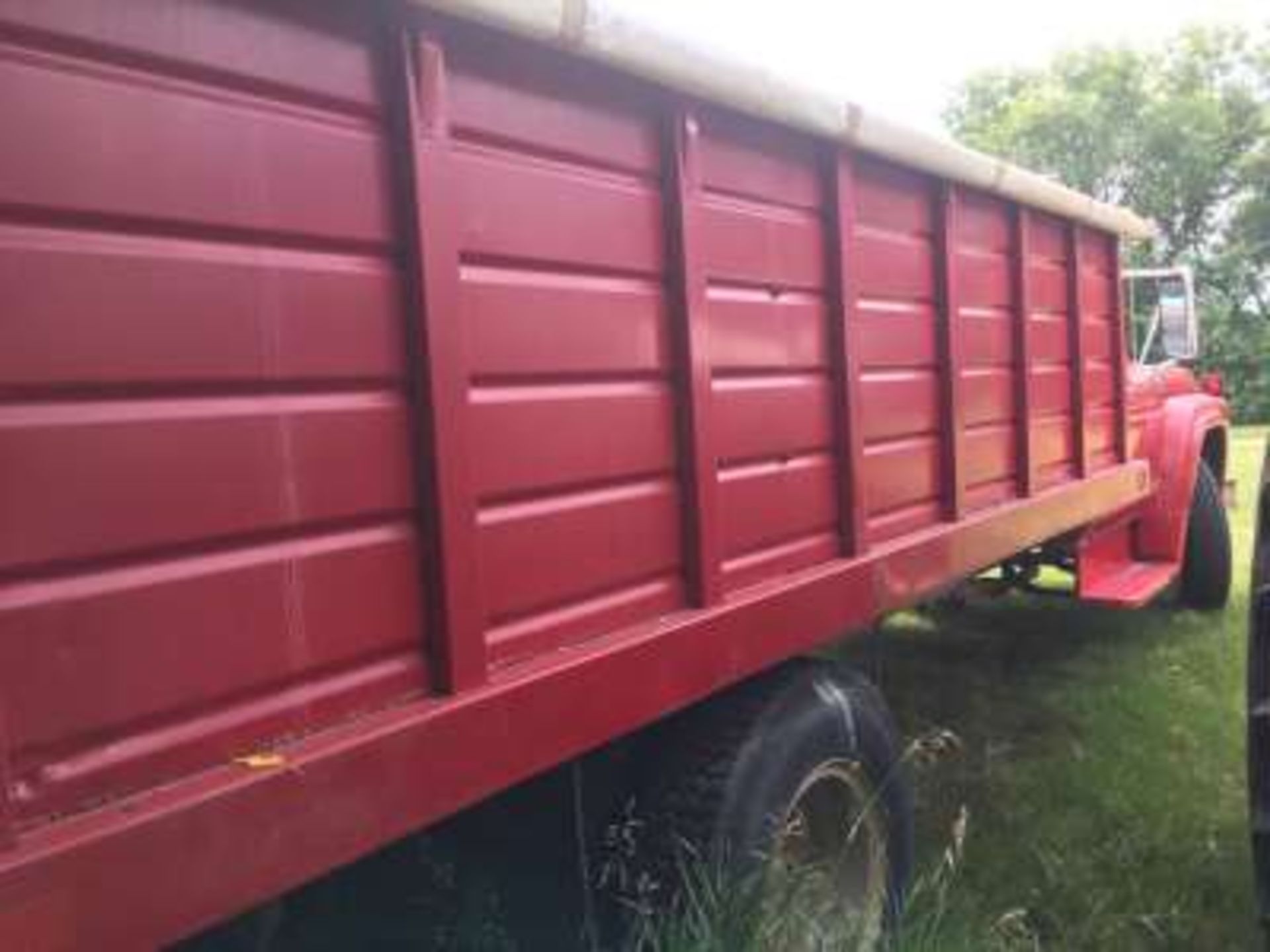 1976 Ford F600 3 Ton grain truck, 330 V8, 8x16ft steel box w/roll tarp, 5x2 trans, pto, 49270 - Image 4 of 8