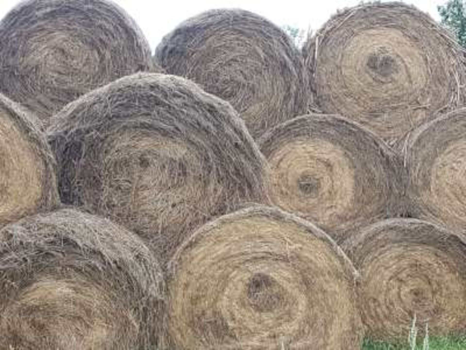 130+ Flax Bales (Hardcore Rd Bales)