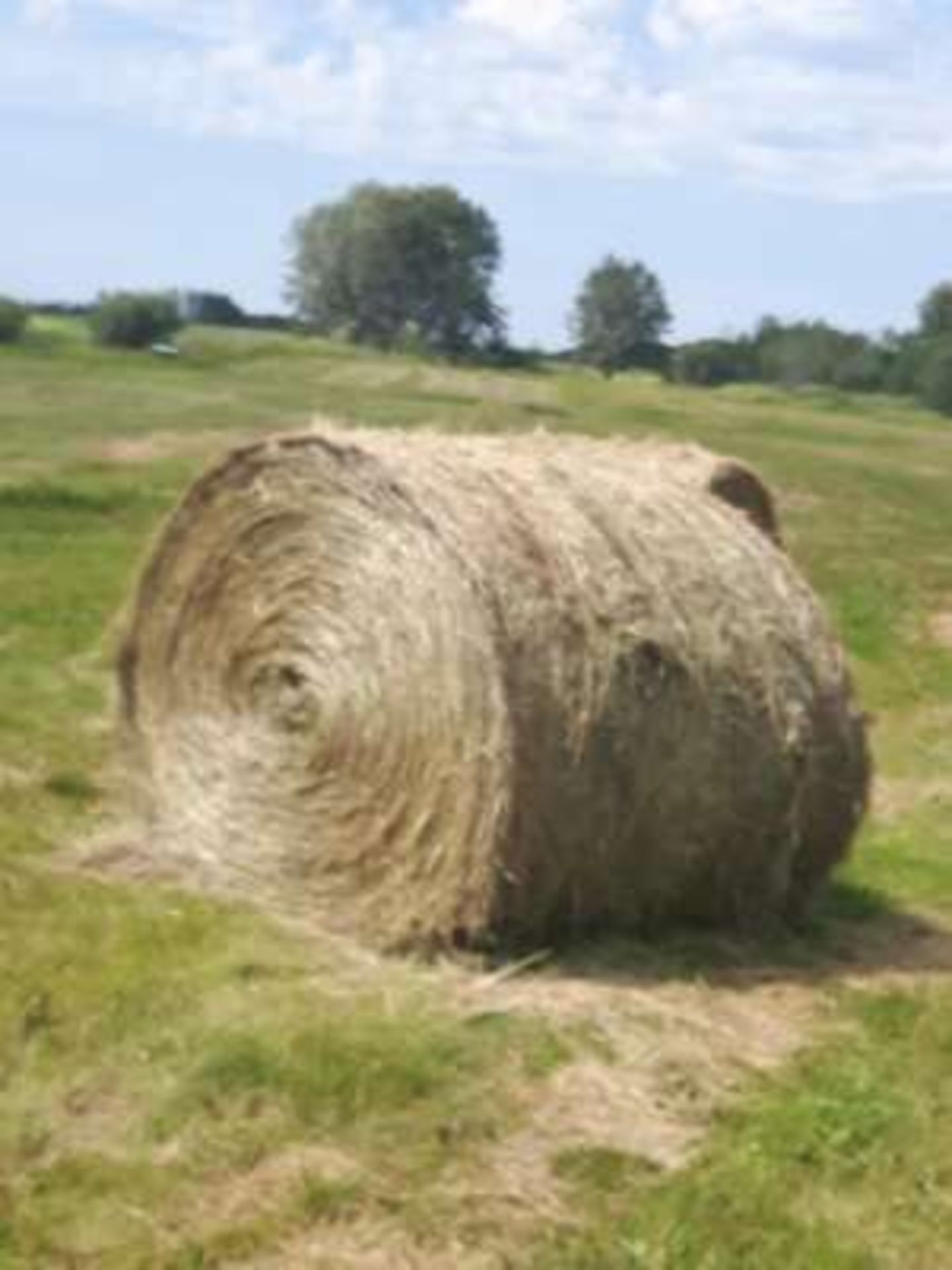 115- New Alfalfa/Hay round bales, hardcore (about 1200lbs)(2018 crop)