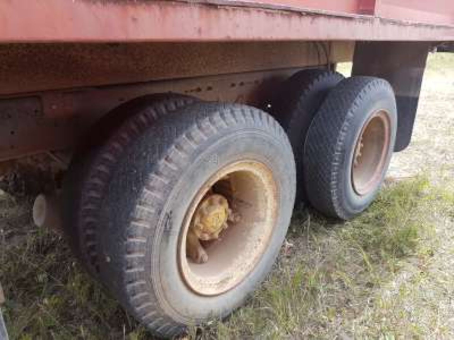 1975 International Cab-over Tandem grain truck, 20ft b&h w/ roll tarp, rebuilt engine with about - Bild 8 aus 9