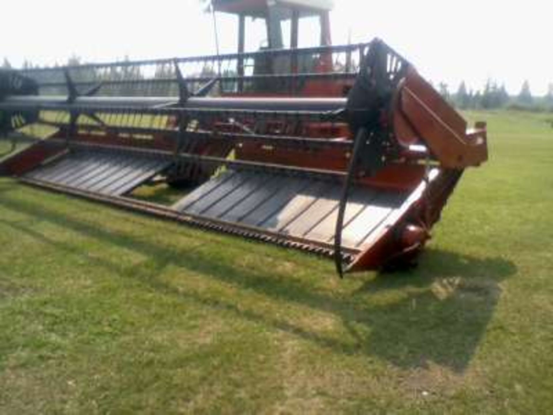 IH 5000 S.P. swather, diesel, cab, 24ft table w/p.u. reels, s/n 1388