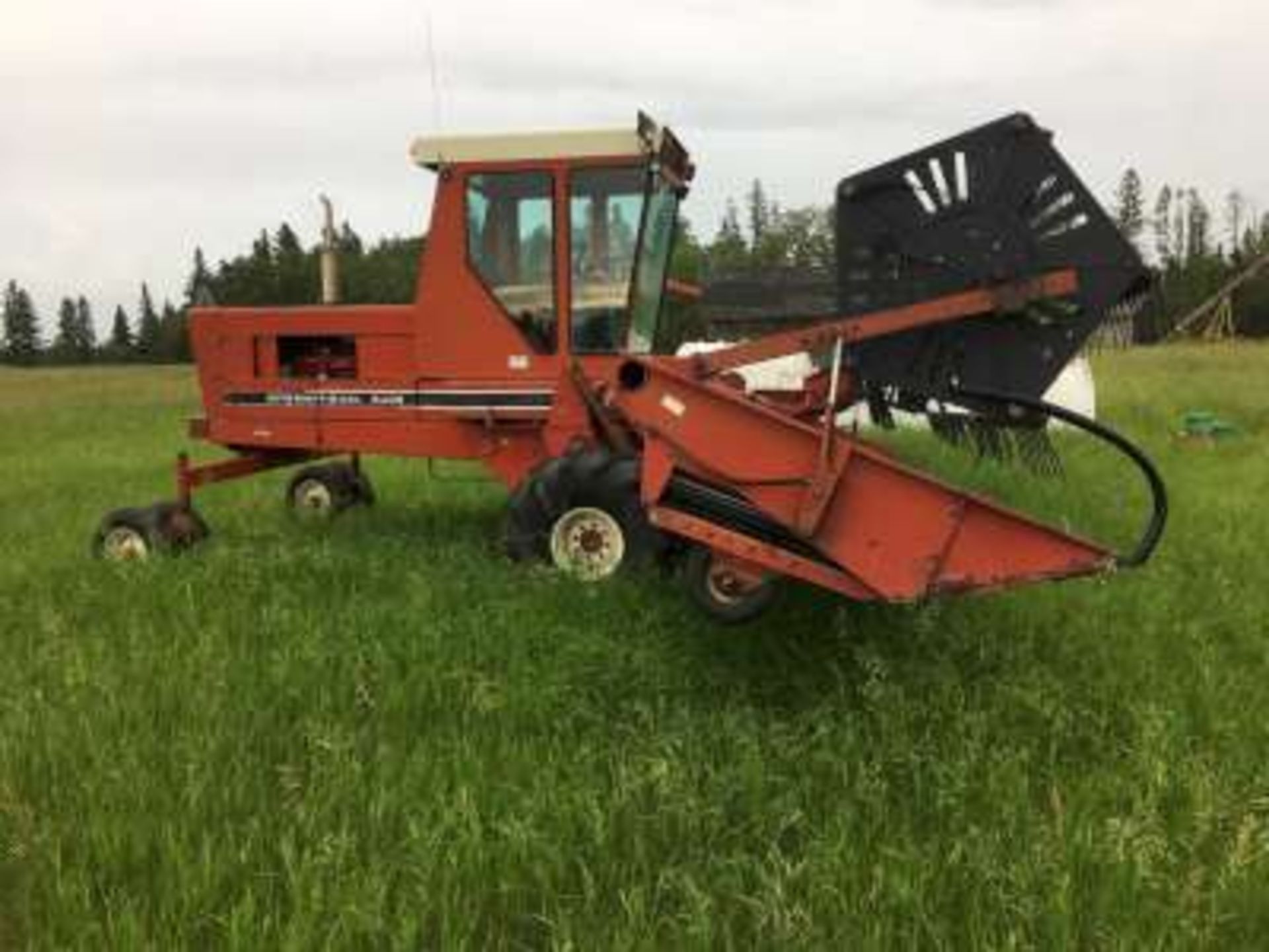 IH 5000 S.P. swather, diesel, cab, 24ft table w/p.u. reels, s/n 1388 - Image 8 of 10