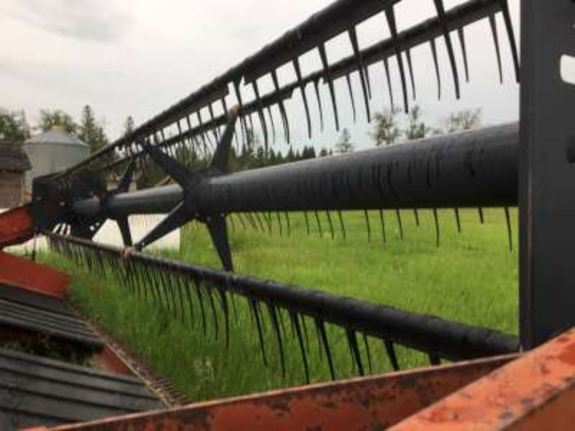 IH 5000 S.P. swather, diesel, cab, 24ft table w/p.u. reels, s/n 1388 - Image 3 of 10