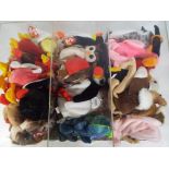 Ty Bears - a display case containing a quantity of Ty Beanie Babies