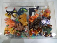 Ty Bears - A display case containing a quantity of Ty Beanie Babies.