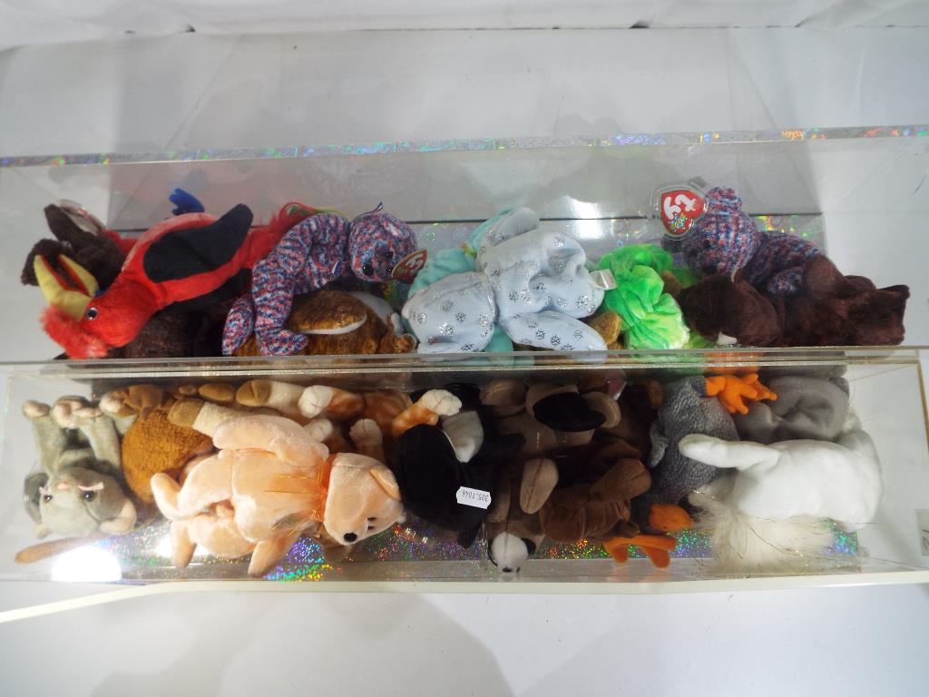 Ty Bears - two display cases containing a quantity of Ty beanie babies (2)