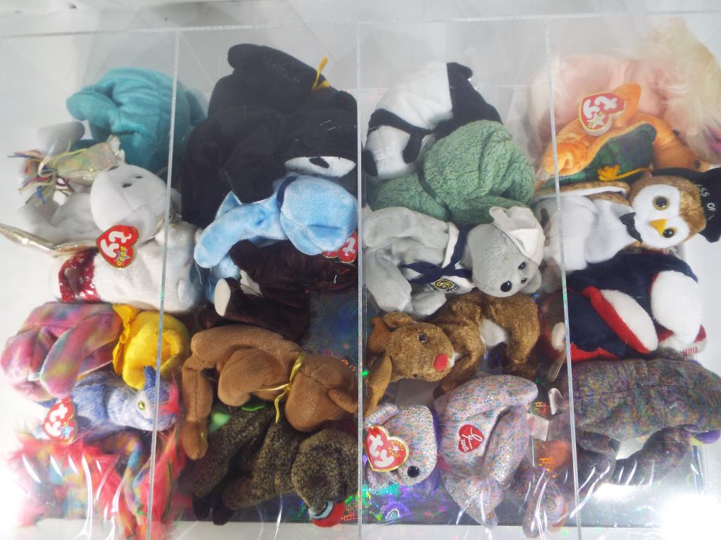 Ty Bears - a display case containing a quantity of Ty Beanie Babies