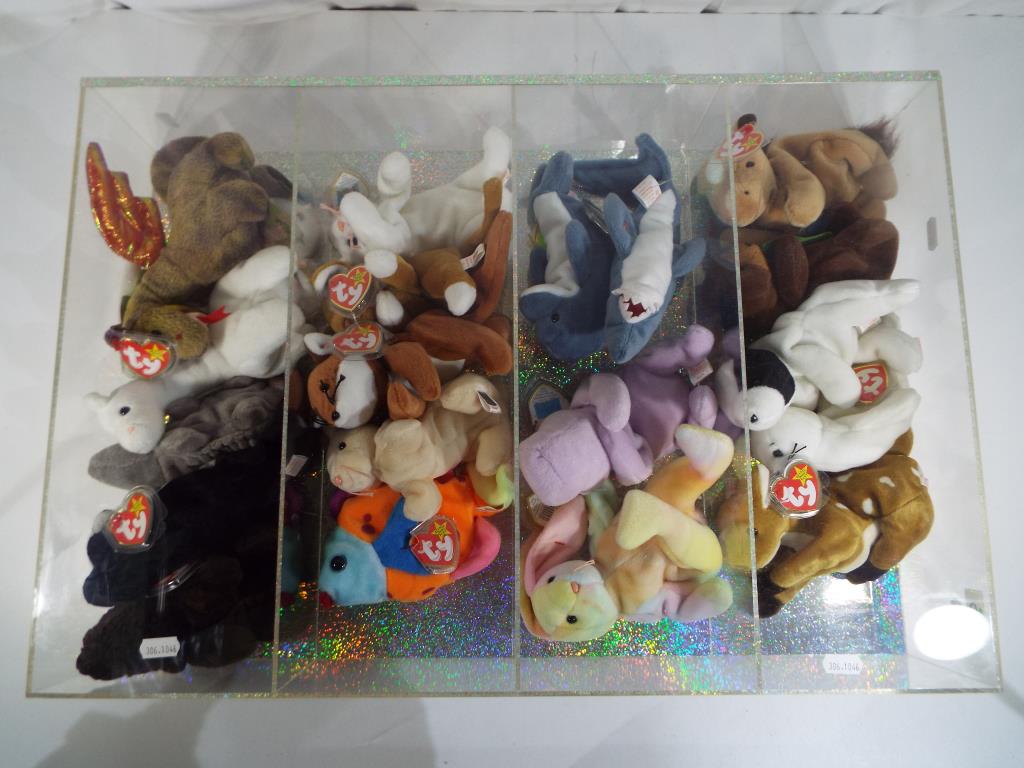 Ty Bears - A display case containing a quantity of Ty Beanie Babies.