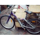 A silver and mauve Giant mountain bike