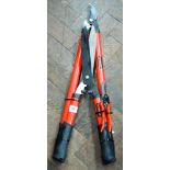 A set of loppers,