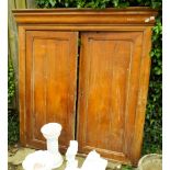 Two large old cabinet doors in an old matching frame