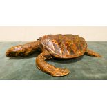 A small turtle 13" long