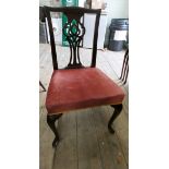 A set of eight Edwardian Chippendale design dining chairs standing on cabriole legs with terracotta