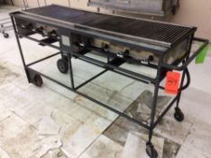 GRMC charcoal type 5'6" portable gas broiler