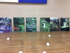 Lot of (9) asst photo boards - includes (6) 41" x 56" scenery themed, and (3) 34" x 41" children