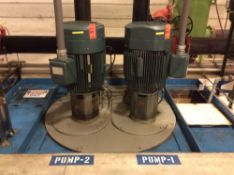 Set of (2) vertical pumps with 100 hp motors with GE 300-LINE control panels (LOTS 1011-1017 is PROC
