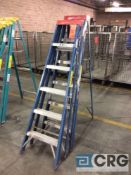 Lot of (2) Louisville 6' fiberglass step ladders