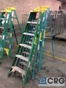 Lot of (3) Davidson 6' fiberglass step ladders