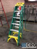 Lot of (2) Werner 6' fiberglass step ladders