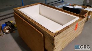 2' x 4' x 1' plastic tub, make unknown, in wood crate