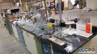 Lot of assorted lab glasswares and accessories, etc., contents of cabinets and table/counter tops,